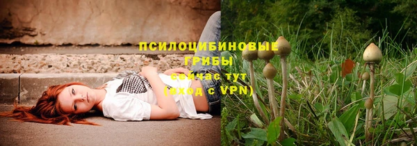 соль ск Балабаново
