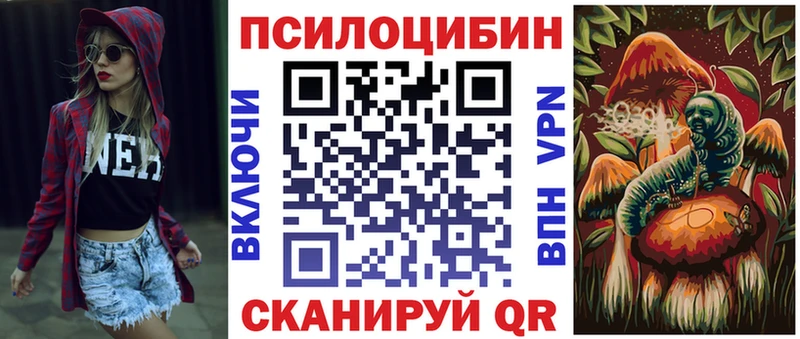 где купить наркотик  Белоозёрский  Галлюциногенные грибы Psilocybine cubensis 